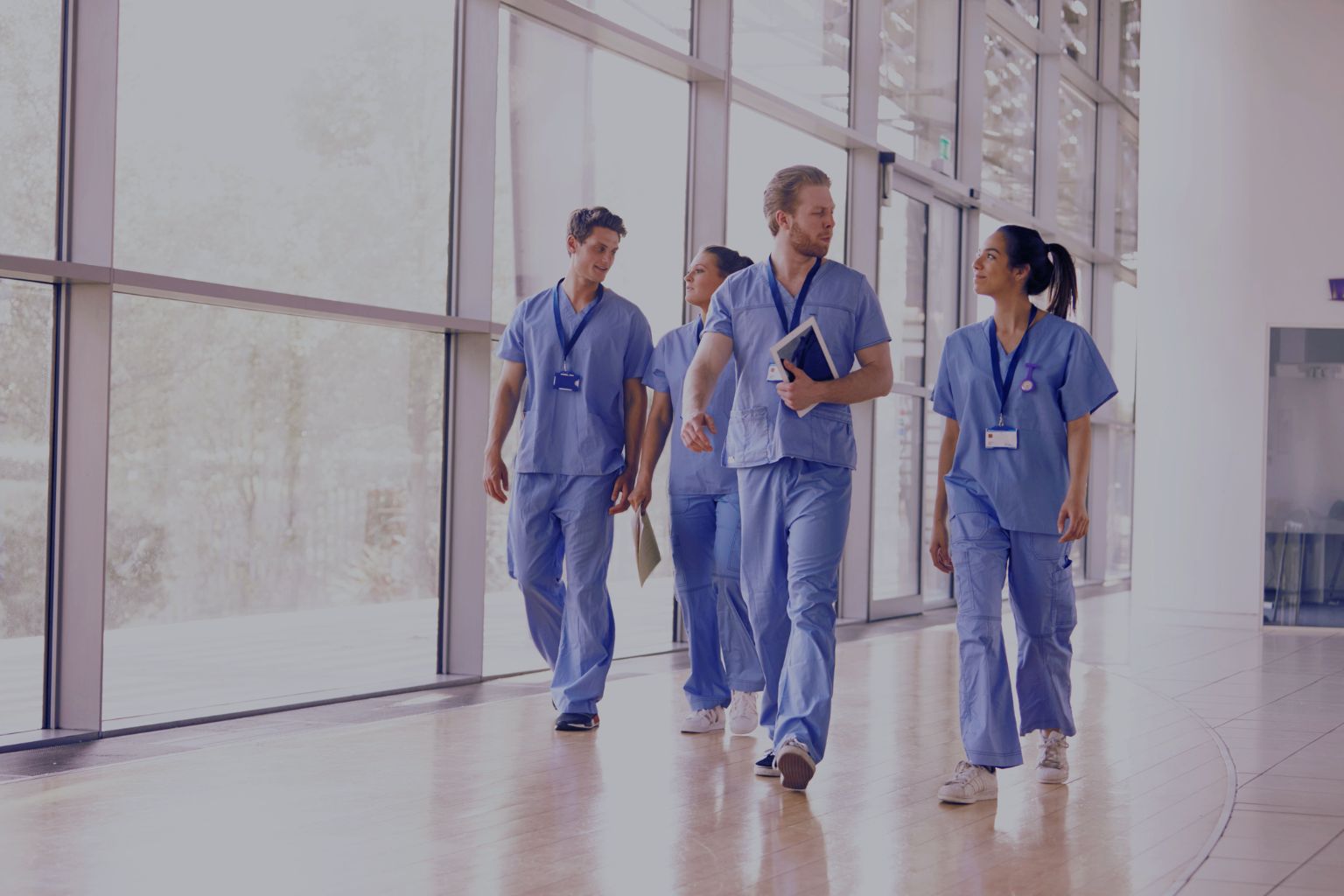 Hospitality (Hotels, Villas)